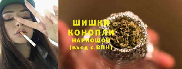 дживик Козловка