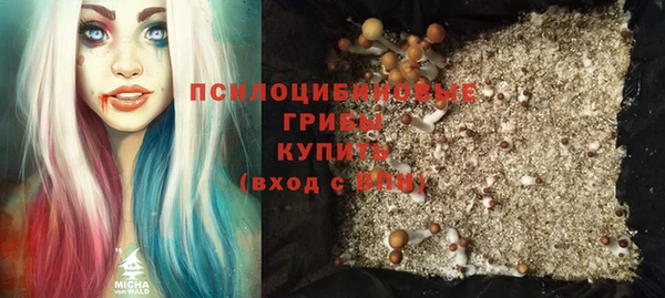 не бодяженный Корсаков