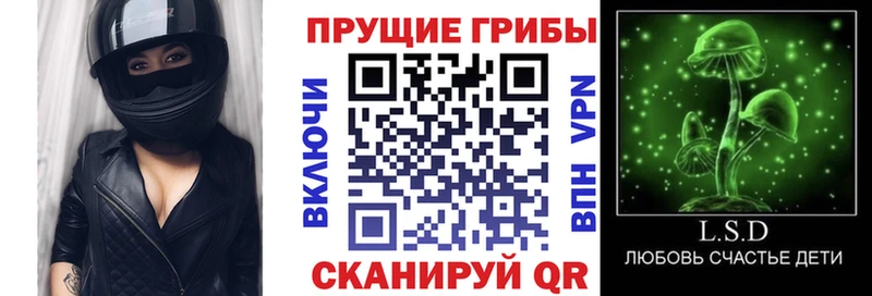 Галлюциногенные грибы Psilocybine cubensis Купить где Ливны